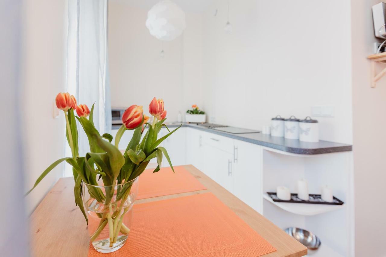 Garden Apartment Krakow Exterior photo
